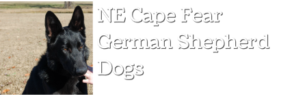 North East Cape Fear German Shepherd Dogs